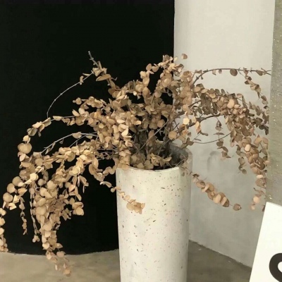 兽设海洋元素设计兽圈社群